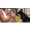 Woman giving cat and dog treat